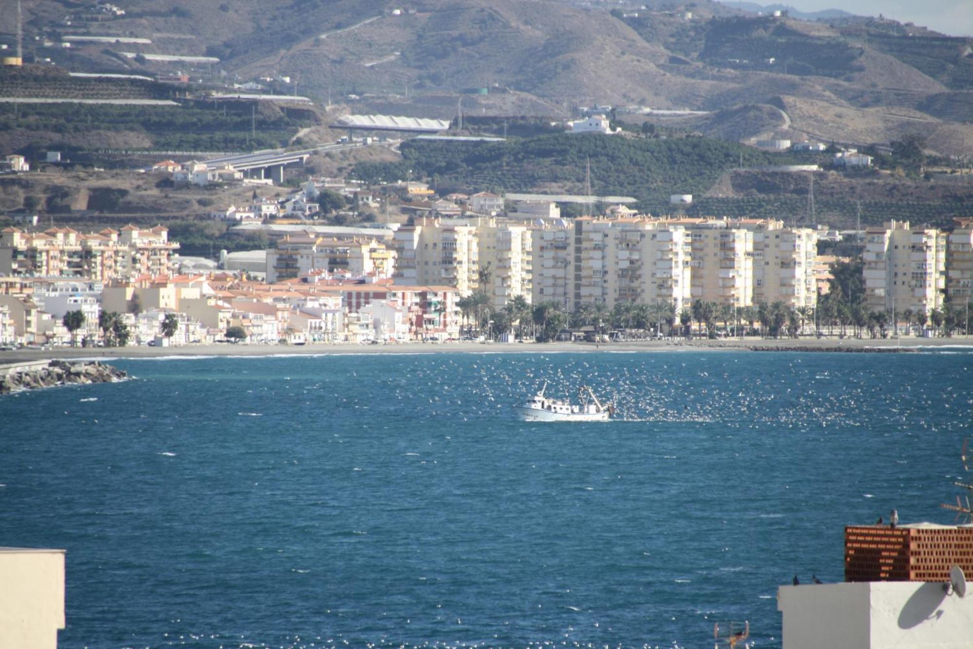 Estudio Plazamar Beach Torre Del Mar Extérieur photo